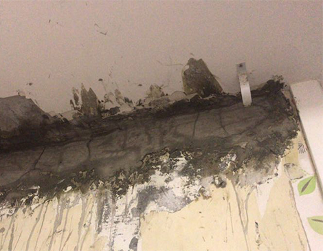 新、舊、老屋面防水