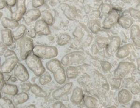 陶?；炷?></div> 

</div>
		</div>
	</div>



<div   id=